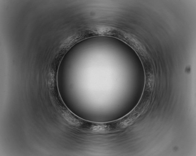 X0000101140461200806270924