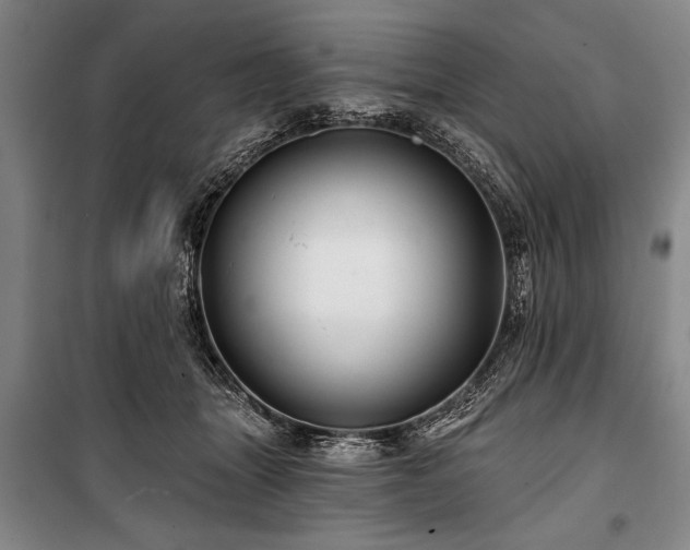 X0000101140463200806270924