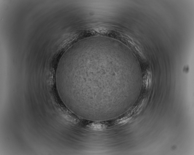 X0000101140464200806270924