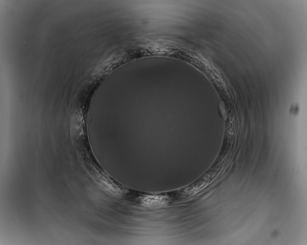 X0000101140465200806270924