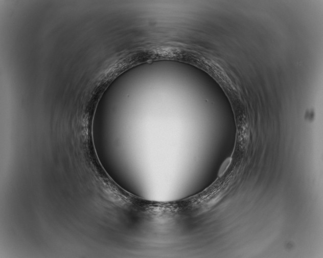 X0000101140466200806270924