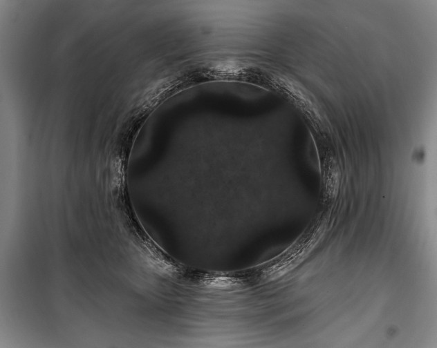 X0000101140467200806270924