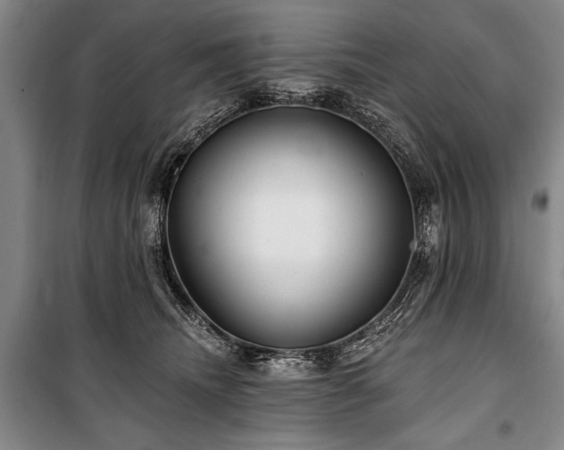 X0000101140468200806270924