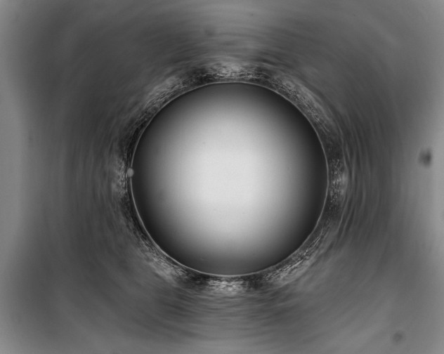 X0000101140469200806270924