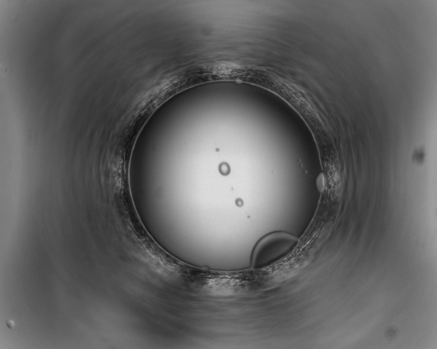 X0000101140470200806270924