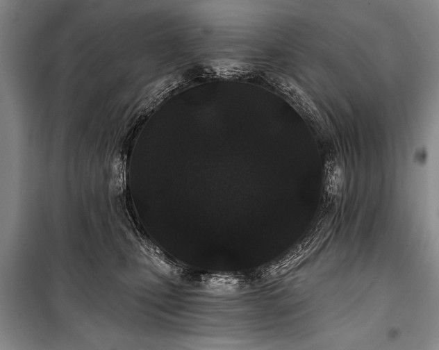 X0000101140471200806270924