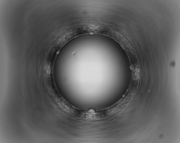 X0000101140472200806270924