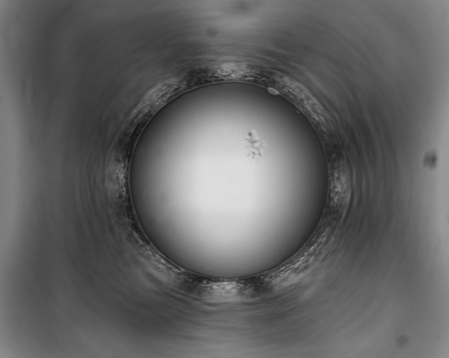 X0000101140473200806270924