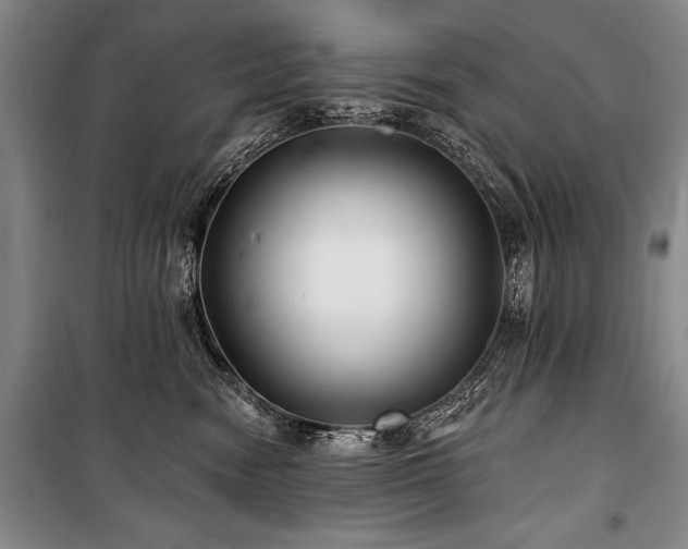 X0000101140474200806270924