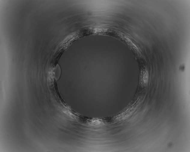 X0000101140475200806270924