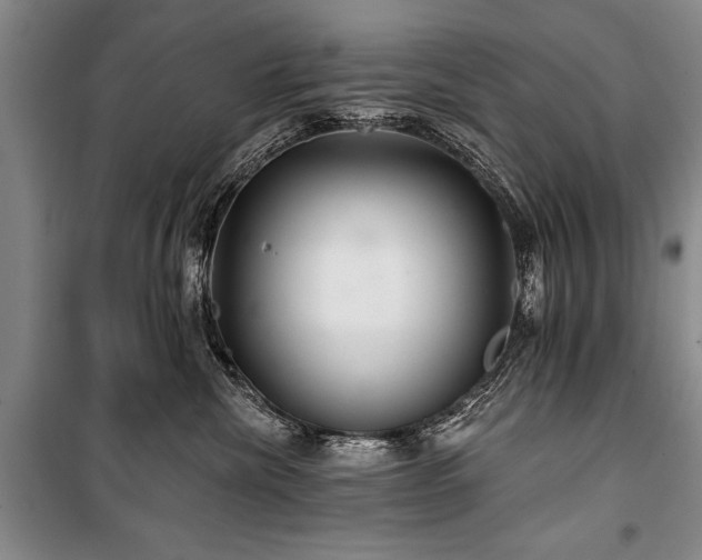 X0000101140476200806270924