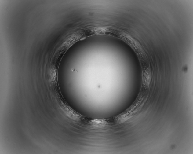 X0000101140477200806270924