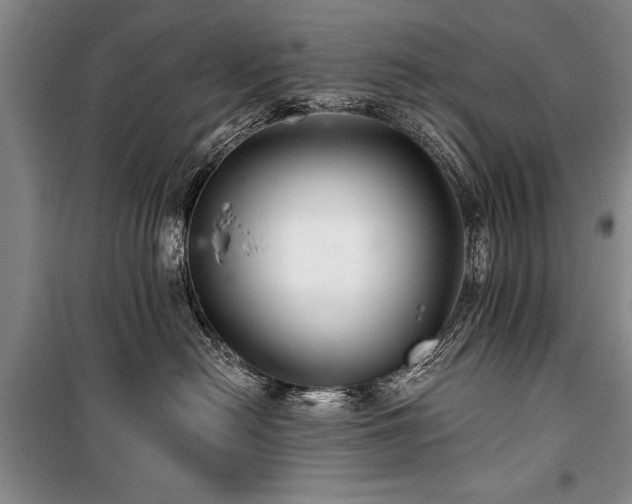 X0000101140478200806270924