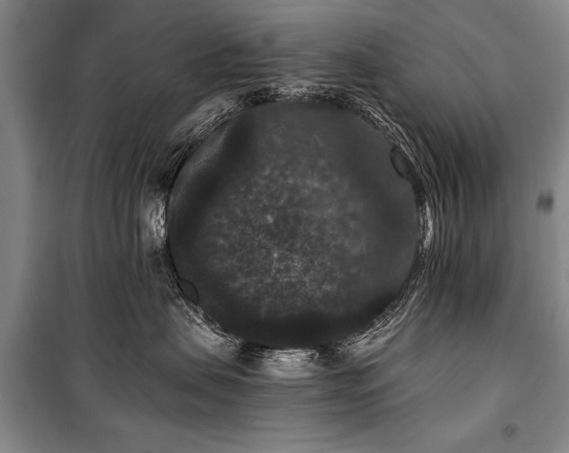 X0000101140479200806270924