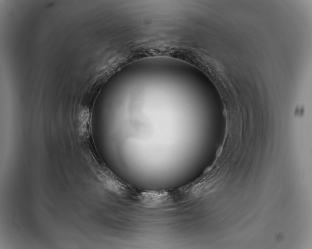 X0000101140480200806270924