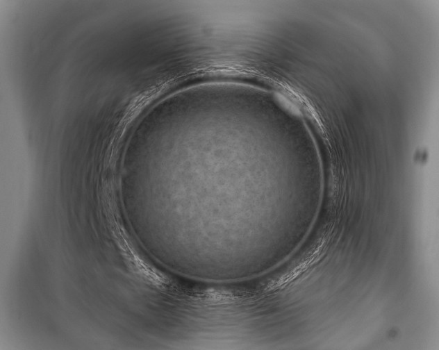 X0000101140481200806270923