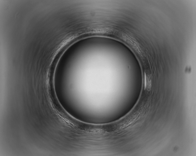 X0000101140483200806270923