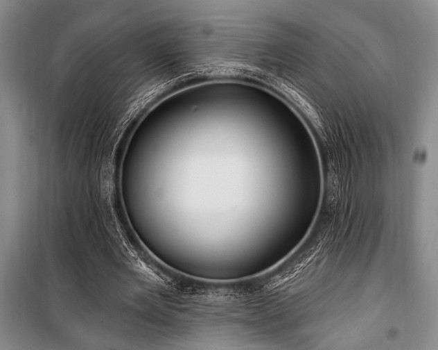 X0000101140485200806270923