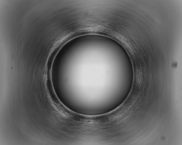 X0000101140486200806270923