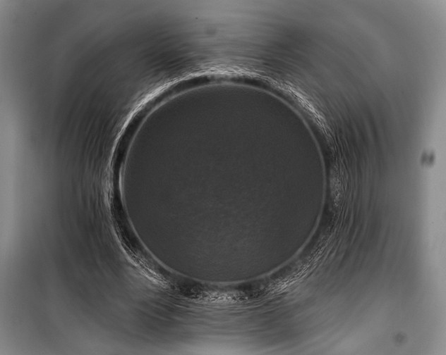 X0000101140488200806270923