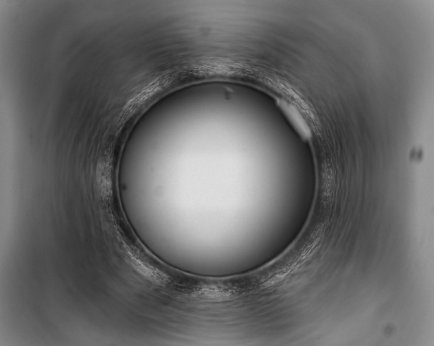 X0000101140489200806270923