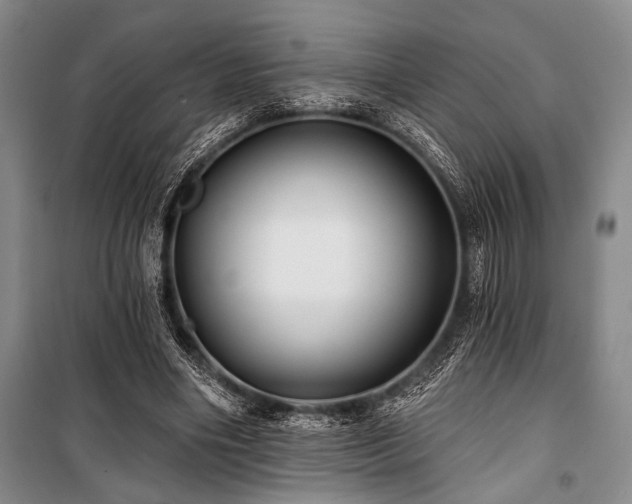 X0000101140490200806270923