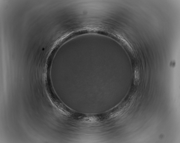 X0000101140492200806270923