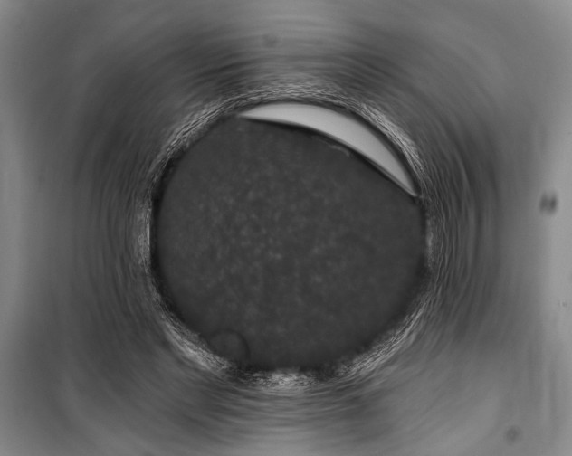 X0000101140493200806270923