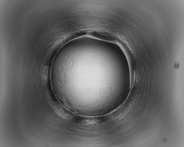 X0000101140495200806270923