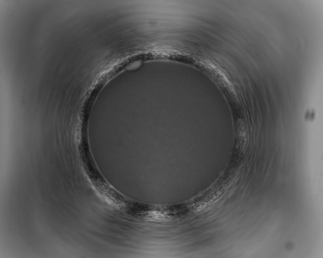 X0000101140496200806270923