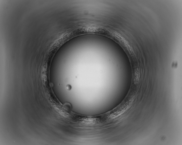 X0000101140497200806270923