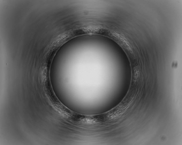 X0000101140498200806270923