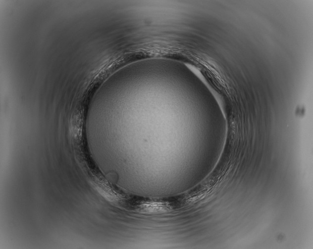 X0000101140499200806270923