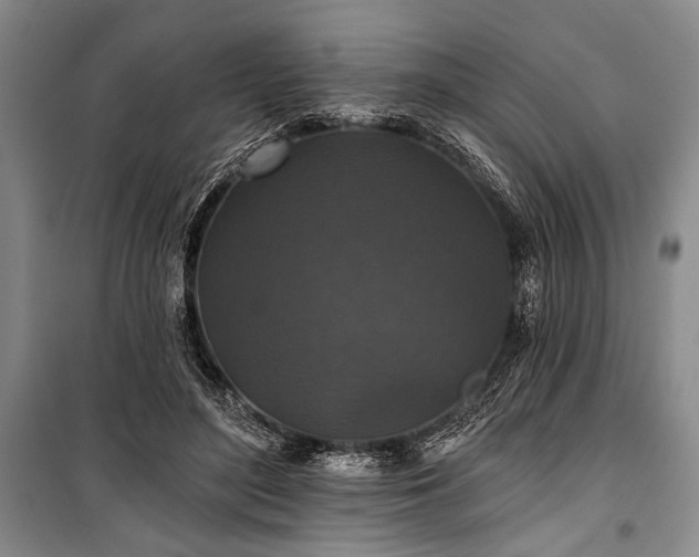 X0000101140500200806270923