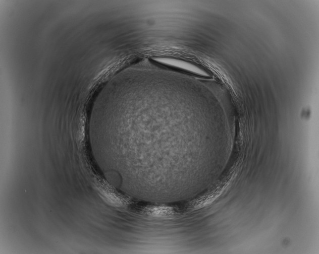 X0000101140501200806270923