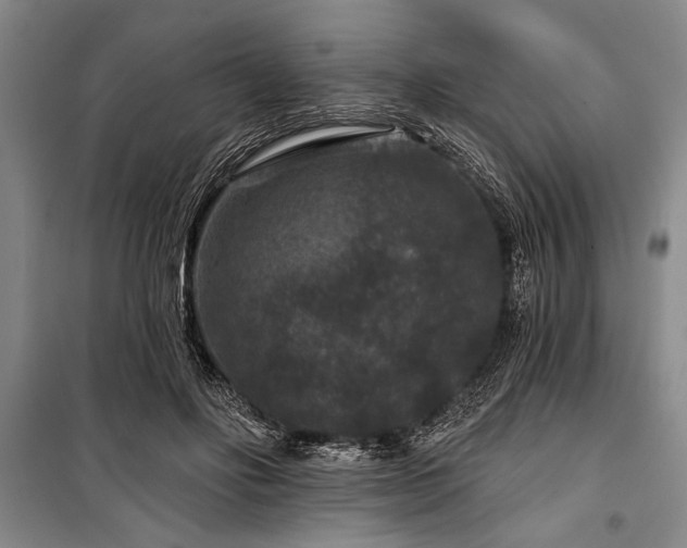 X0000101140502200806270923