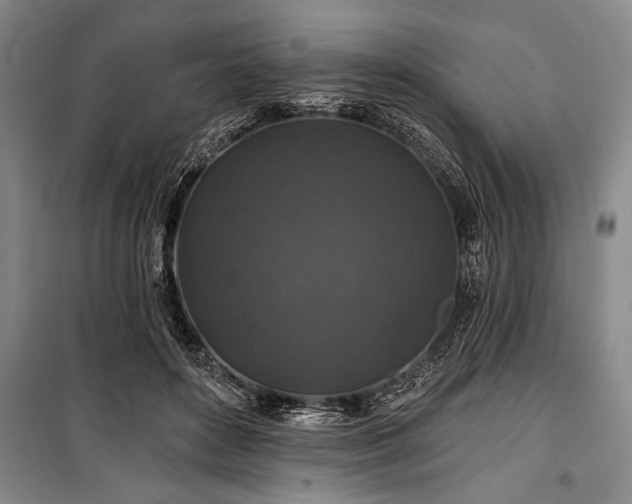 X0000101140504200806270923