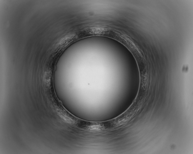 X0000101140505200806270923