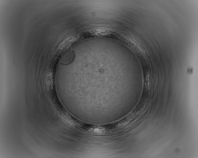 X0000101140506200806270923