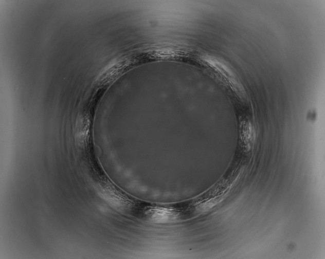 X0000101140507200806270923