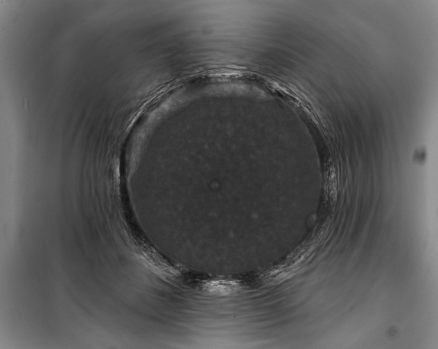 X0000101140508200806270923