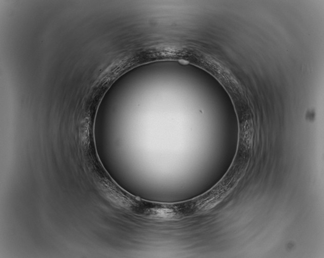 X0000101140509200806270923