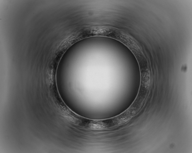 X0000101140510200806270923