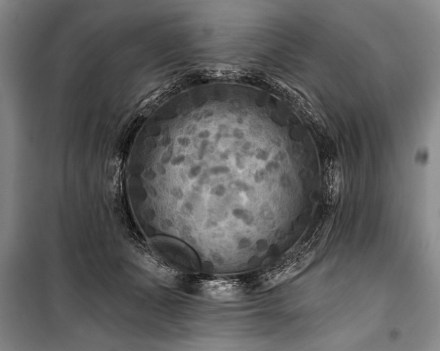 X0000101140511200806270923