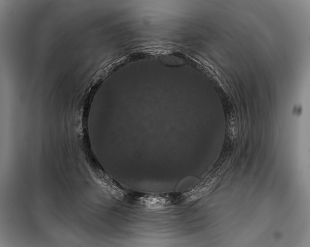 X0000101140512200806270923