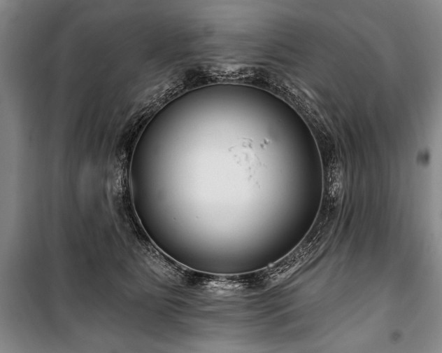 X0000101140515200806270923