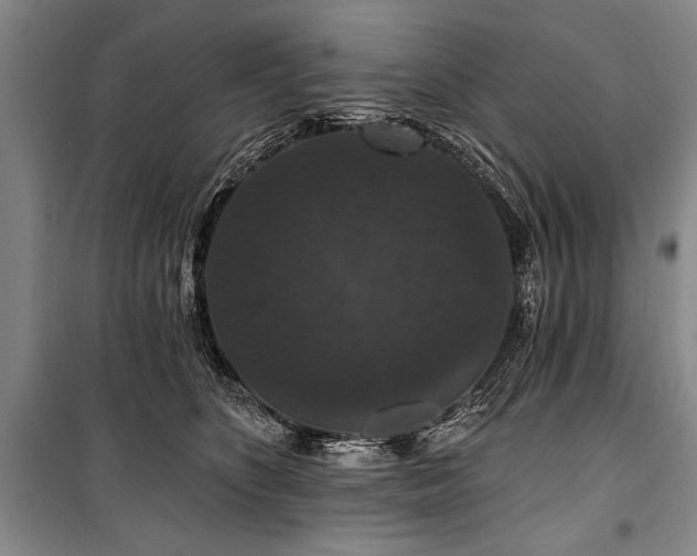 X0000101140516200806270923