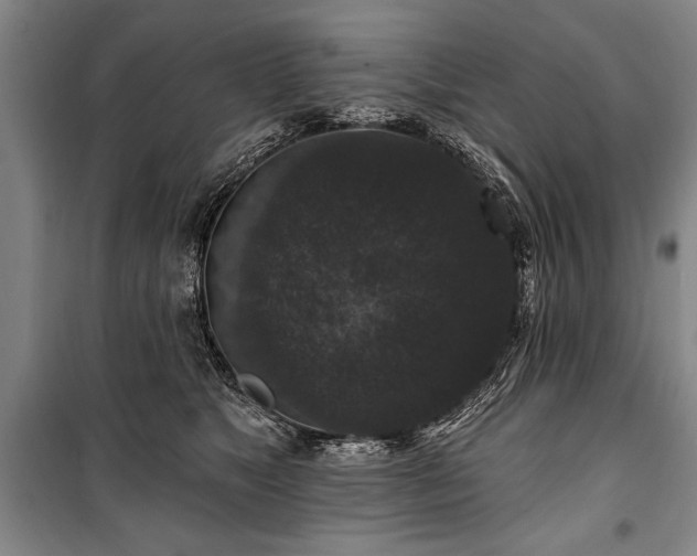 X0000101140517200806270923