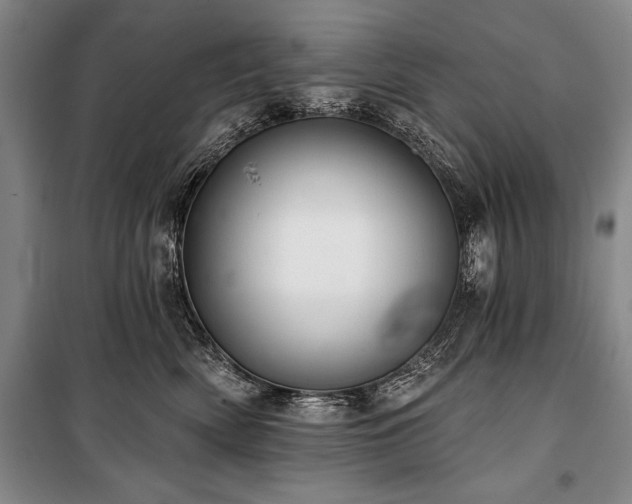 X0000101140522200806270922