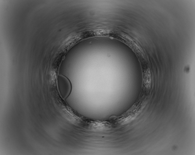 X0000101140523200806270922